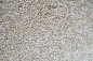 Preview: Bioland Lupinennudeln mit Buchweizen - Spirelli 500g
