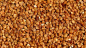 Preview: Bioland Lupinennudeln mit Buchweizen - Spirelli 500g