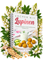 Preview: Kochen mit Lupinen - Leckere Rezepte mit der eiweißreichen Hülsenfrucht