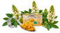 Preview: Bioland Lupinenkerne gekocht 360g Dose