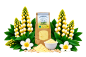 Preview: Bioland Lupinenmehl 300g