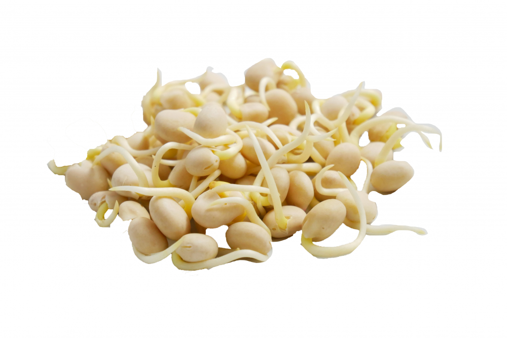 Bioland Lupinensamen 80g "Probiererle"