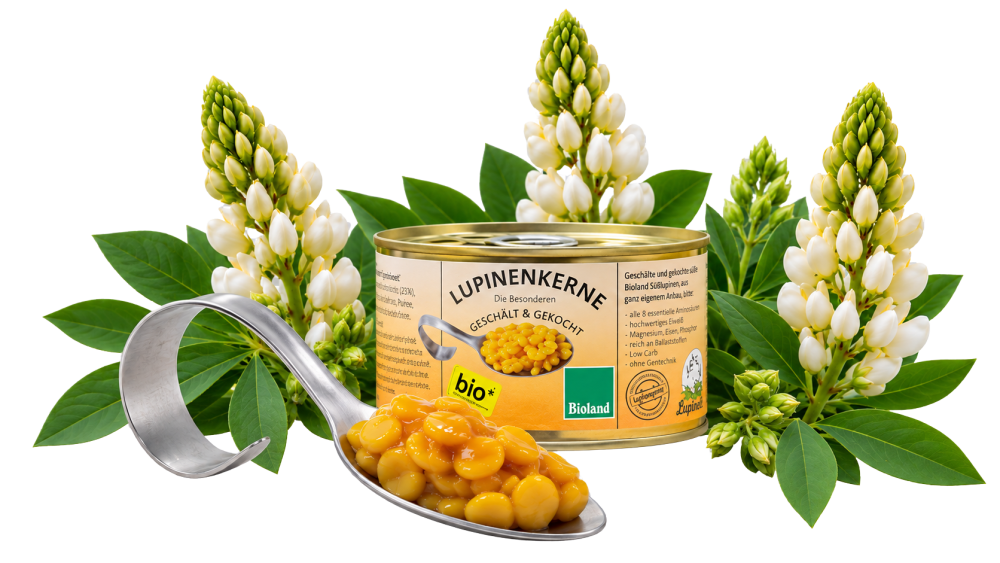 Bioland Lupinenkerne gekocht 360g Dose